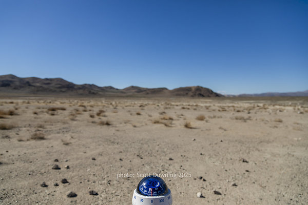  D012137