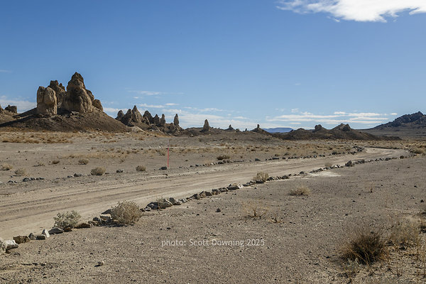  D012248