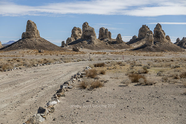  D012143