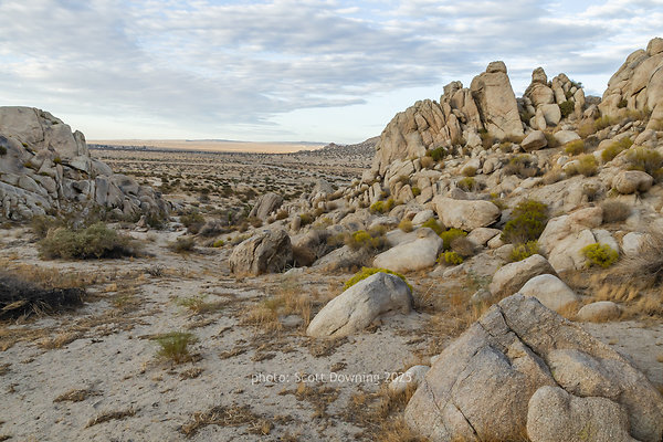  D012412