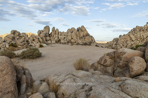  D012399
