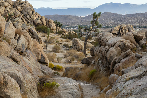  D012390