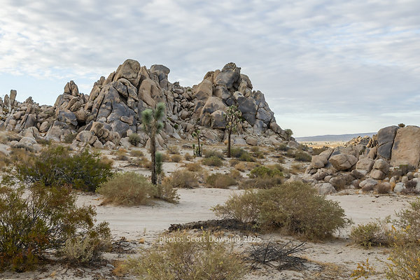  D012383