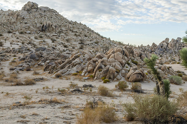 D012406