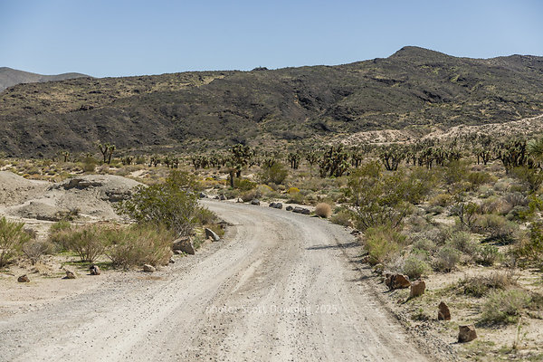  D012057