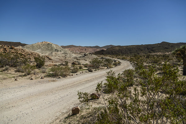  D012058