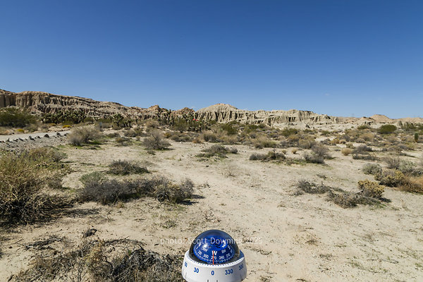  D012036