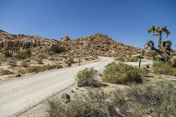  D012065