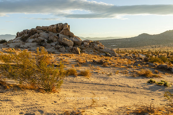  D012450