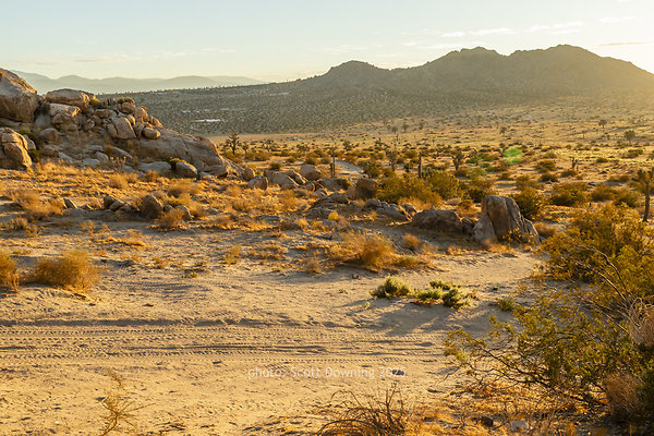  D012449