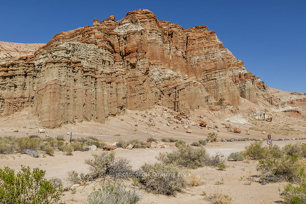 D011922