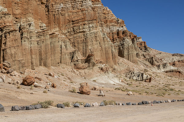  D011778