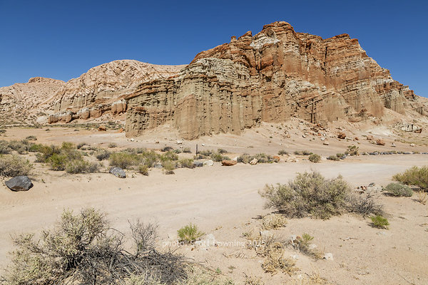  D011923