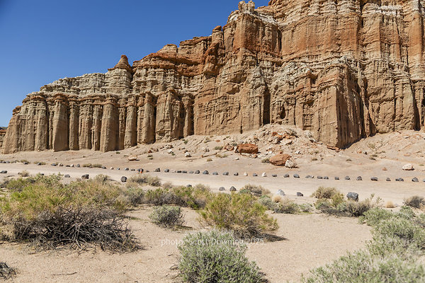  D011906