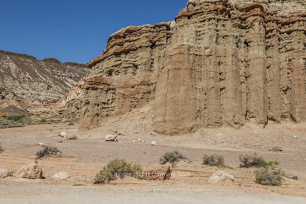  D011777