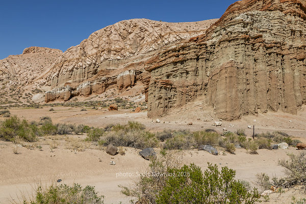  D011921
