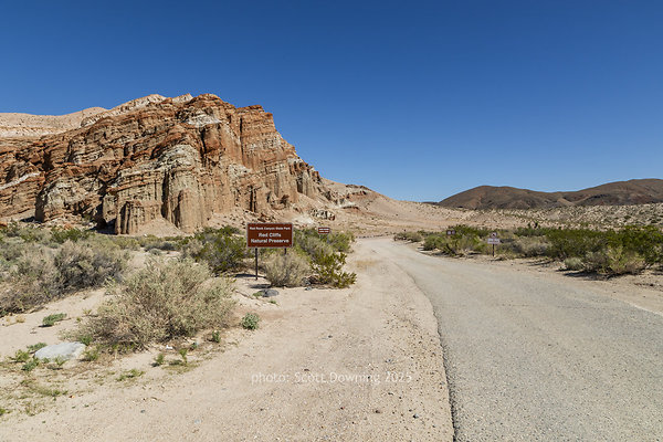  D011763