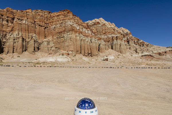  D011799
