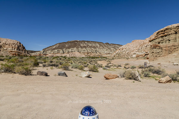  D011768