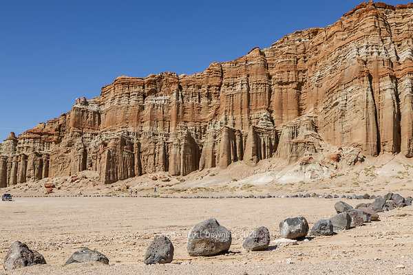  D011835