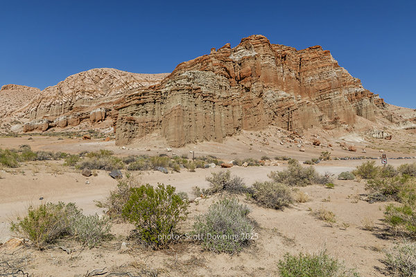  D011920