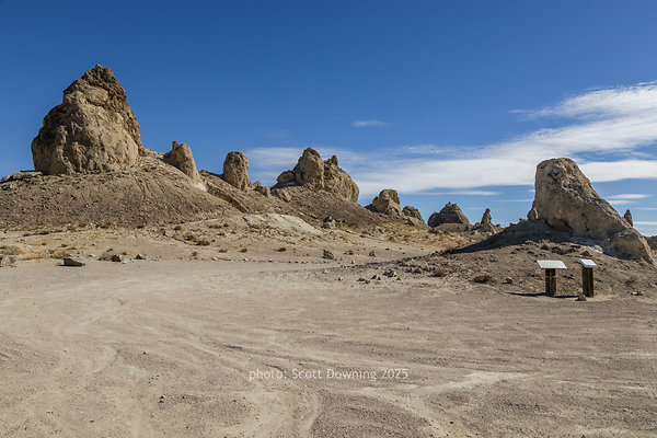  D012165