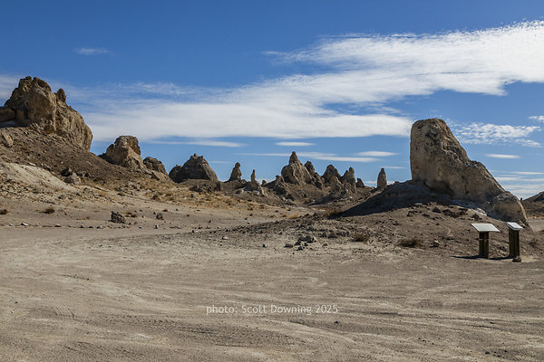  D012163