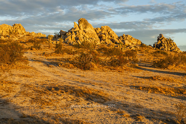  D012471