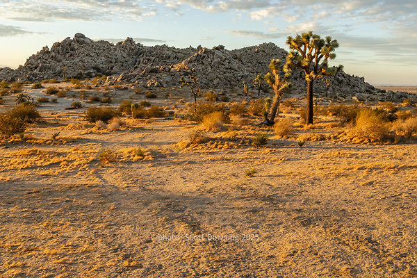  D012472