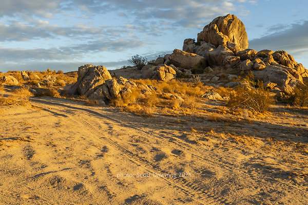  D012457