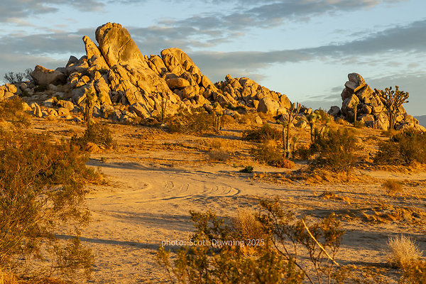  D012473