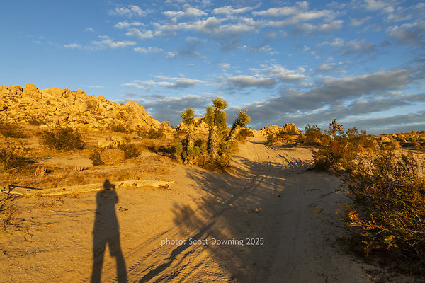  D012460