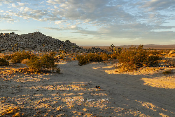  D012474