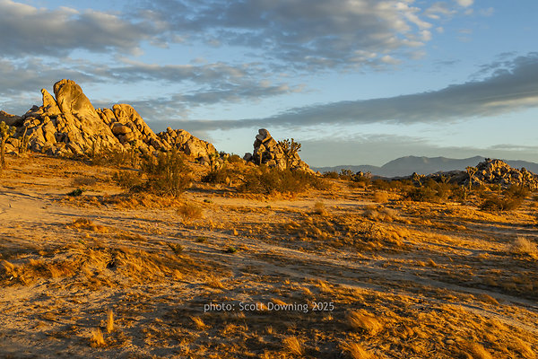  D012468